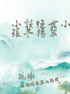 小说绝世小仙医张冬杨翠