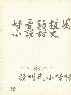 好看的校园言情小说甜文