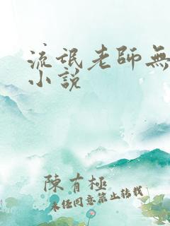 流氓老师无删减小说
