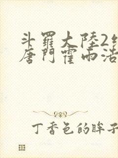 斗罗大陆2绝世唐门霍雨浩小说