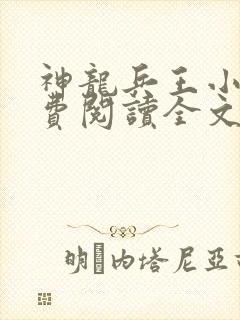 神龙兵王小说免费阅读全文