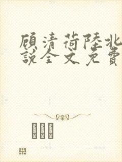顾清荷陆北舟小说全文免费阅读全文
