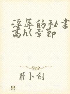淫辱的秘书调教高h(章节
