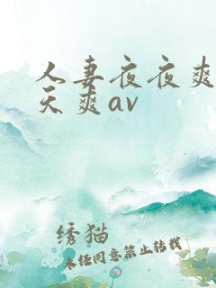 人妻夜夜爽天天天爽av