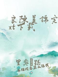 良陈美锦完整txt下载