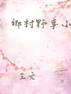 乡村野事小说