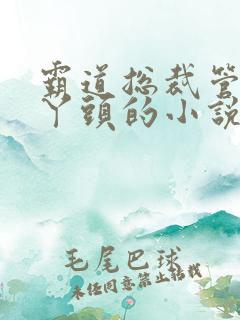 霸道总裁管教小丫头的小说