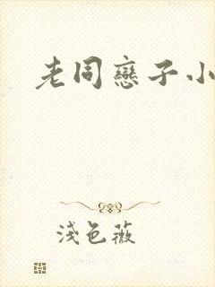 老同恋子小说