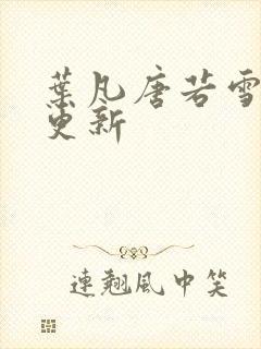 叶凡唐若雪王婿更新