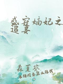 盛宠嫡妃之世子追妻