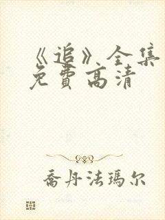 《追》全集观看免费高清