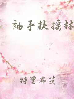 袖手扶摇林凡