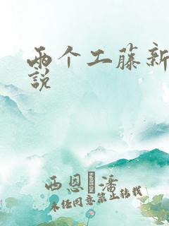 两个工藤新一小说