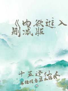 《肉欲进入》无删减版