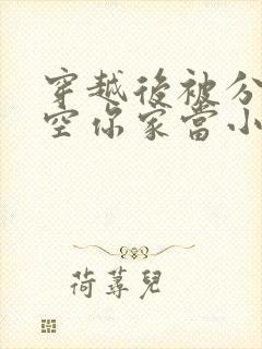 穿越后被分家搬空你家当小说