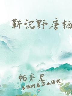 靳沉野唐栖雾