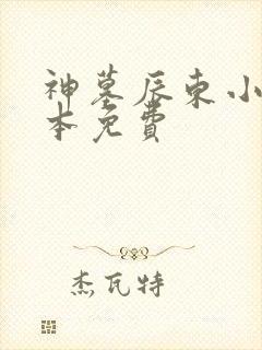 神墓辰东小说全本免费