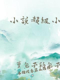 小说超级小农民