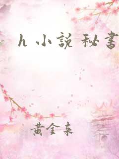 h 小说 秘书