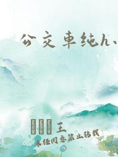 公交车纯h小说