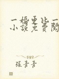 一婚更比一婚高小说免费阅读全文