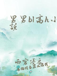 男男bl高h小说