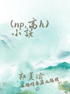 (np,高h)小说