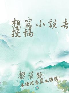 想写小说去哪里投稿