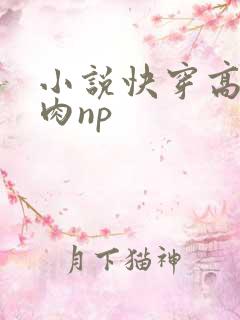 小说快穿高h纯肉np