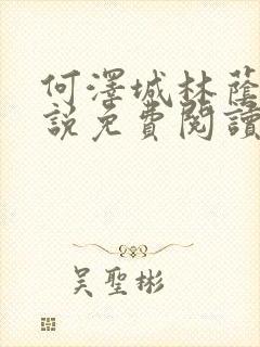 何泽城林荫的小说免费阅读全文