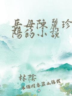 岳母陈丽珍和宋阳的小说