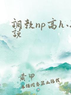 调教np高h小说