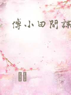 傅小田间谍罪