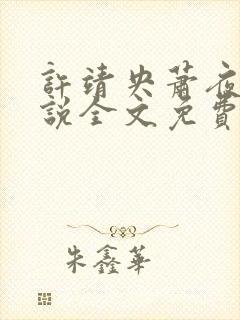 许靖央萧夜寒小说全文免费阅读
