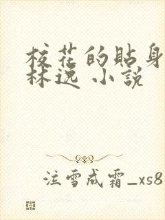 校花的贴身高手林逸 小说