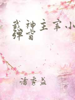 武神主宰小说无弹窗