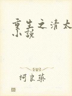 重生之清太子妃小说