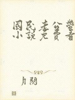 国民老公带回家小说免费看