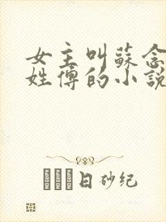 女主叫苏念男主姓傅的小说