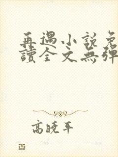 再遇小说免费阅读全文无弹窗