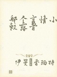 哪个言情小说比较露骨