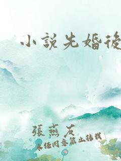 小说先婚后爱