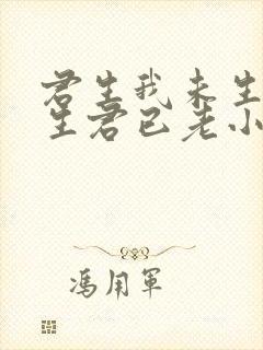 君生我未生,我生君已老小说