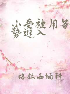 小受被用各种姿势进入