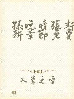 孙晚晴张斯珩最新章节免费阅读