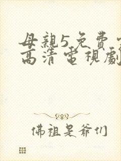 母亲5免费完整高清电视剧hd