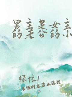 男主是女主姐姐的老公的小说