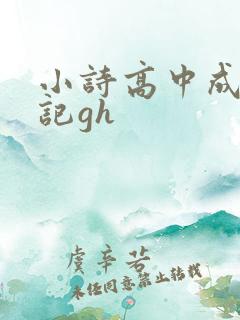 小诗高中成长日记gh