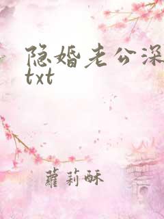 隐婚老公深夜来txt