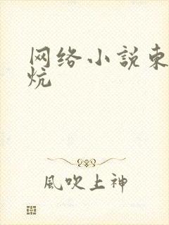 网络小说东北大炕